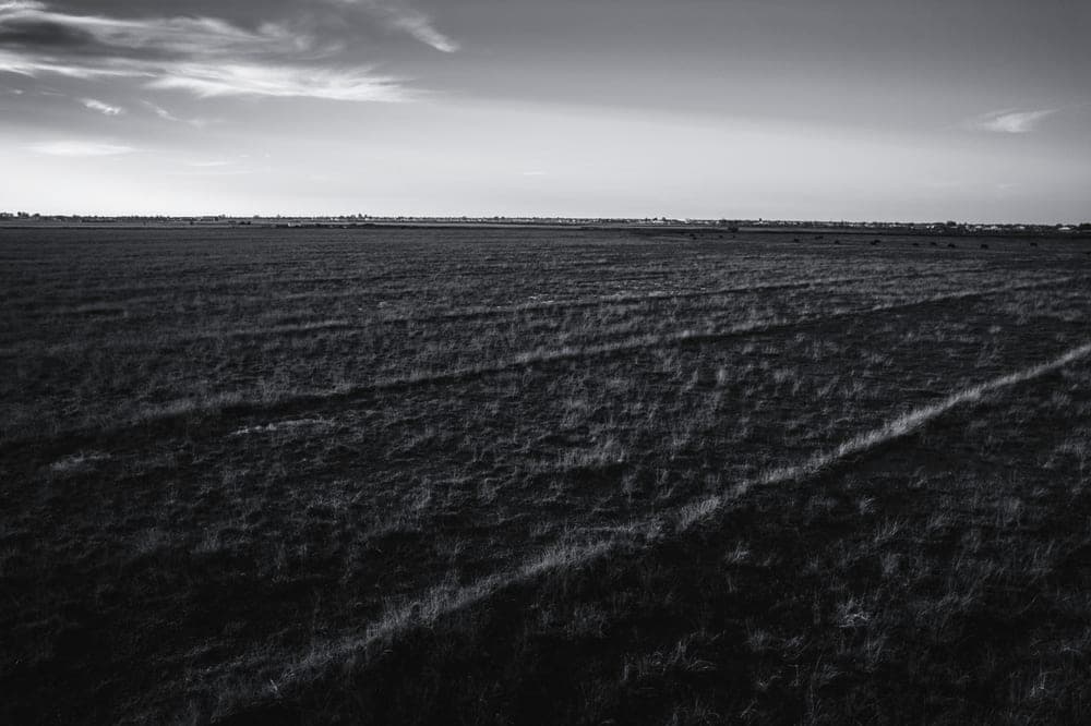 A wide open field running out to a distant tree line