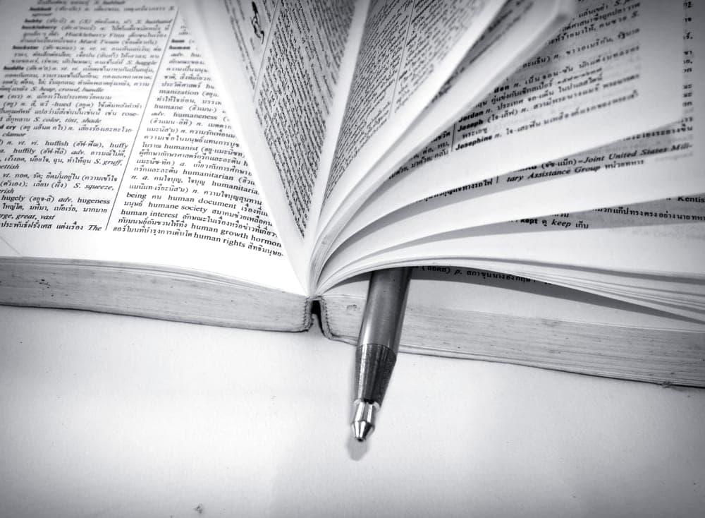 An open book with a pen resting on the pages, photographed close up
